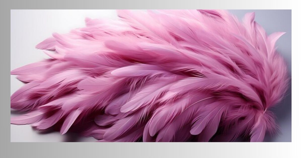 Feather Boa