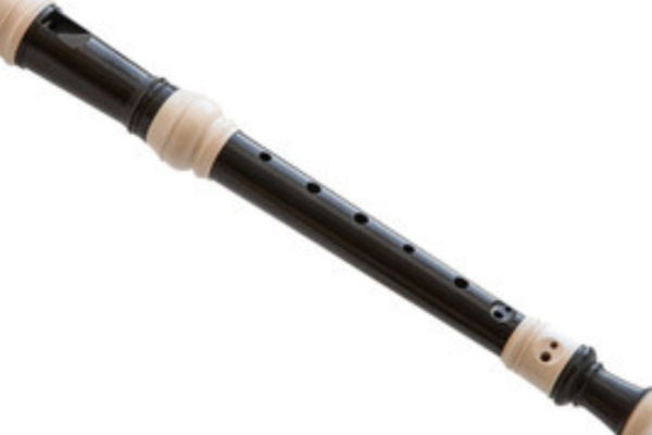 Recorder Instrument