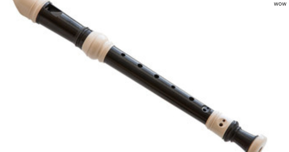 Recorder Instrument