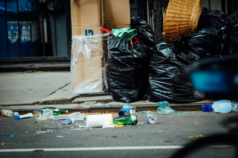 The Growing Need for Electronic Recycling