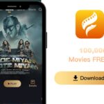 Flixfox App