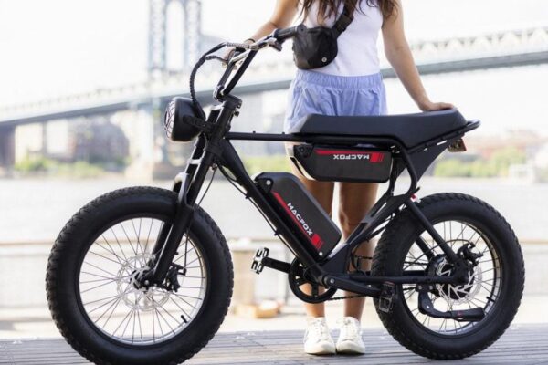 Fat Tire Electric Bikes