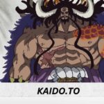 kaido.to