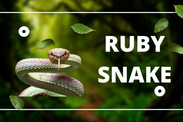 ruby snake