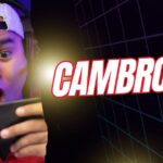 cambro tv