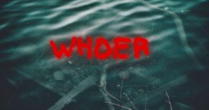 Whoer: The Ultimate Tool for Online Privacy and Anonymity - Hackerella