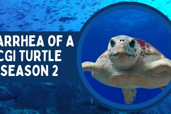 Diarrhea of a cgi turtle season 2