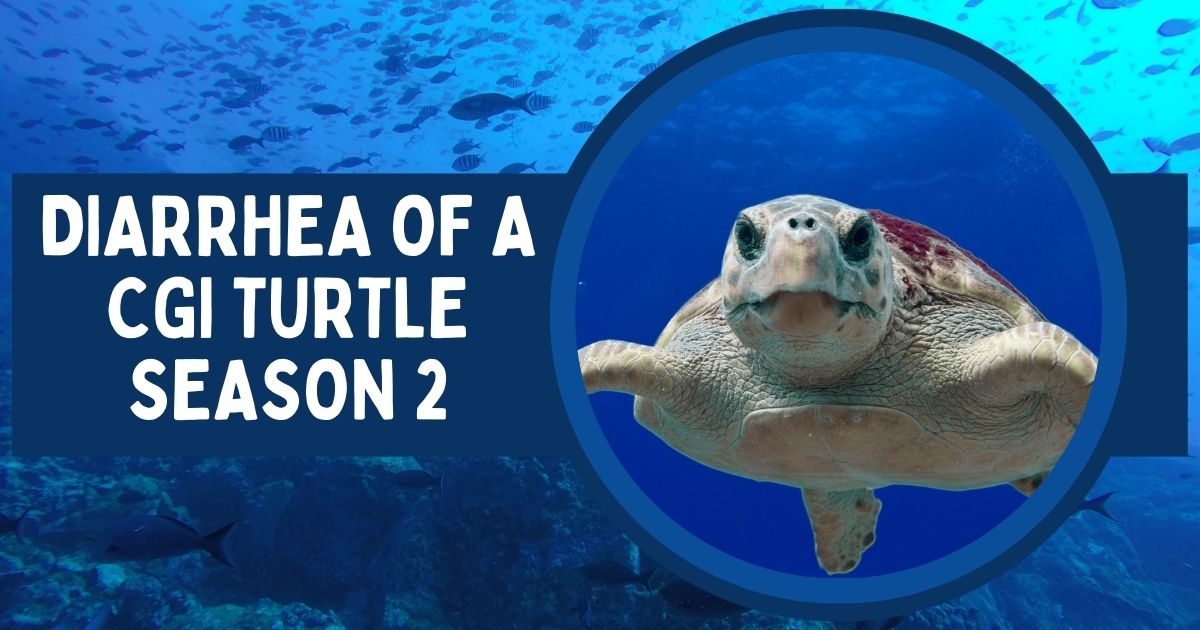 Diarrhea of a cgi turtle season 2