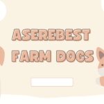 aserebest farm dogs