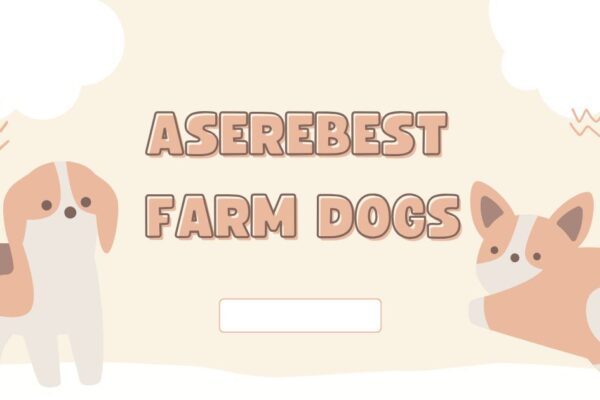 aserebest farm dogs