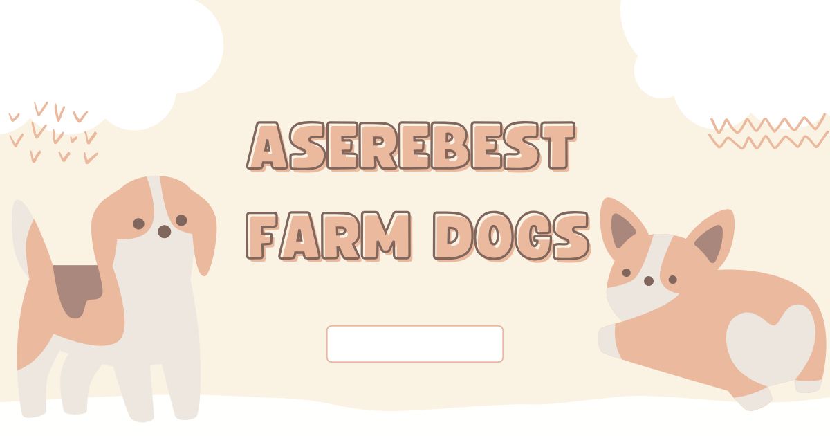 aserebest farm dogs