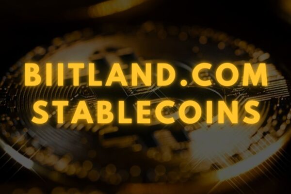 biitland.com stablecoins