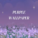 purple wallpaper