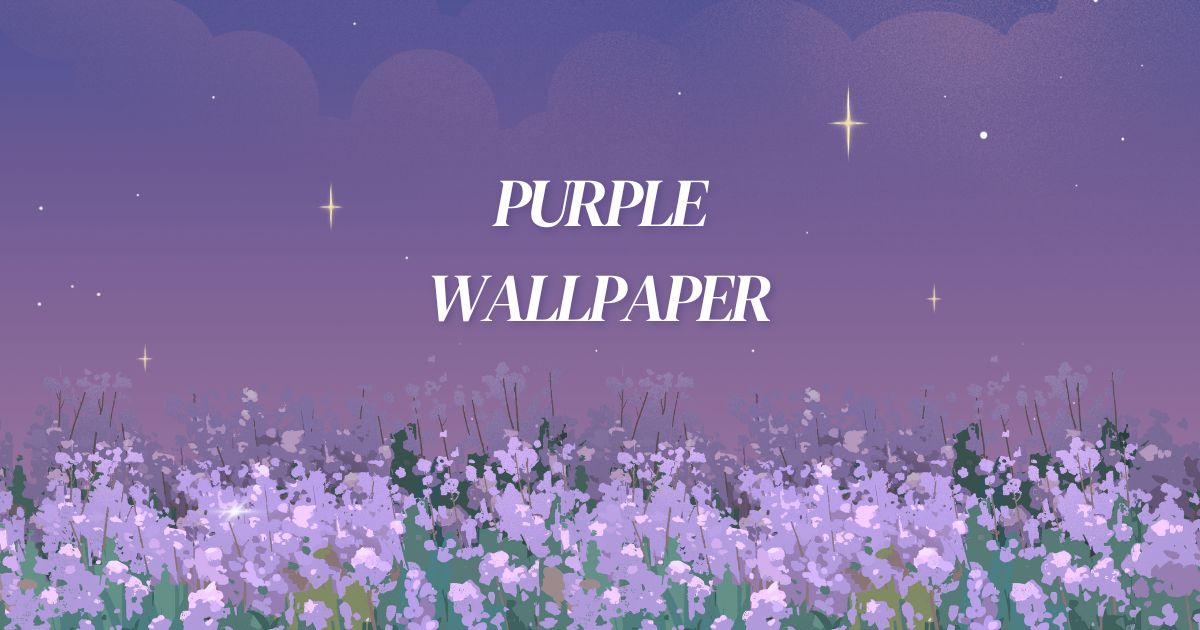 purple wallpaper