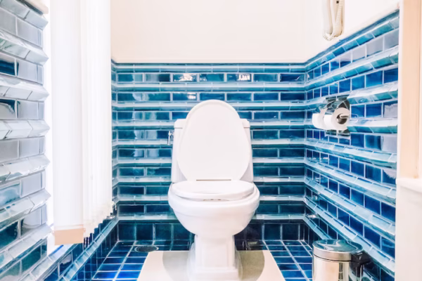 Best Commode Chairs Available in Australia: A Complete Guide
