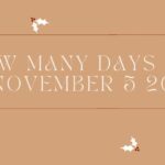 how many days until november 5 2024