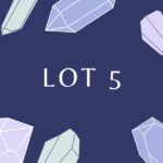 lot 5​