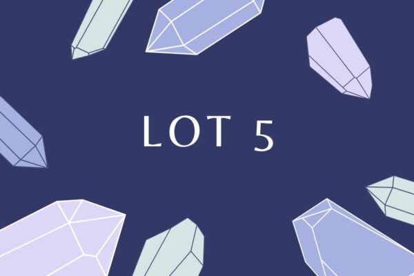 lot 5​