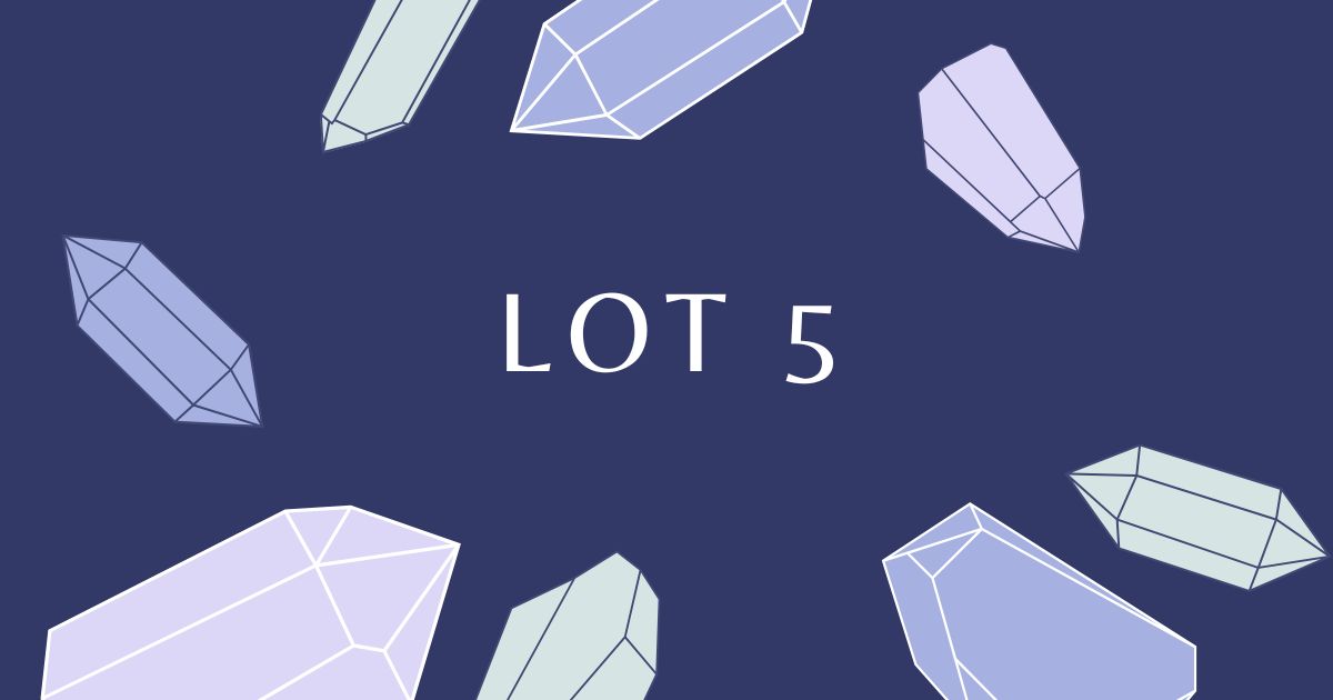 lot 5​