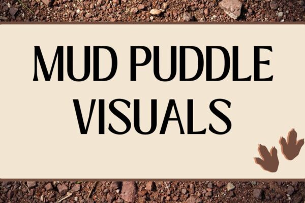 Mud Puddle Visuals: A Creative Force in Visual Storytelling mud puddle visuals