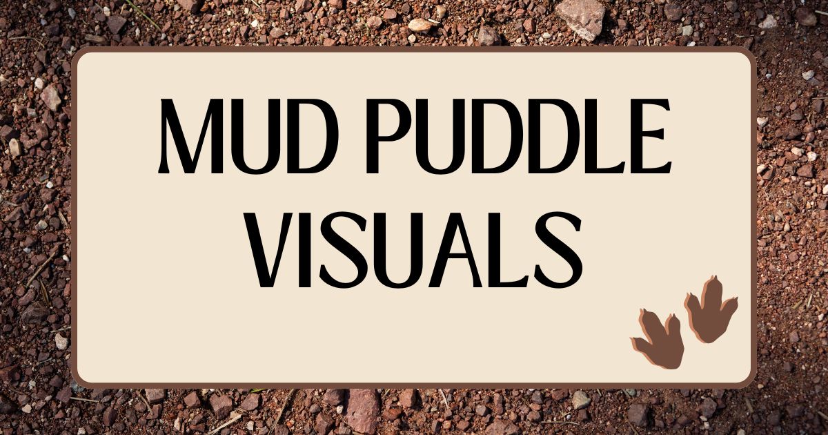 mud puddle visuals