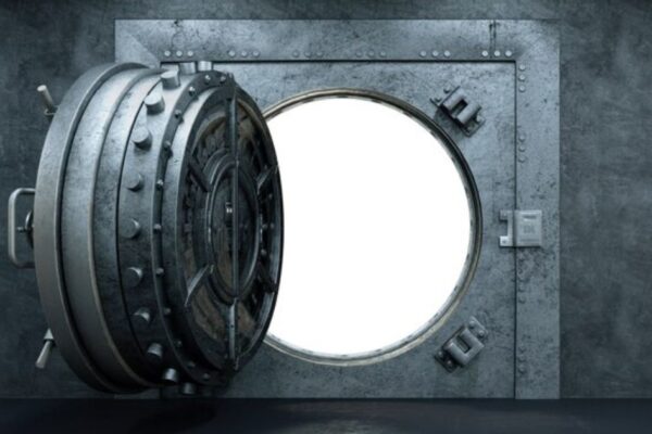 Anon Vault: Safeguarding Privacy in the Digital Era Anon Vault