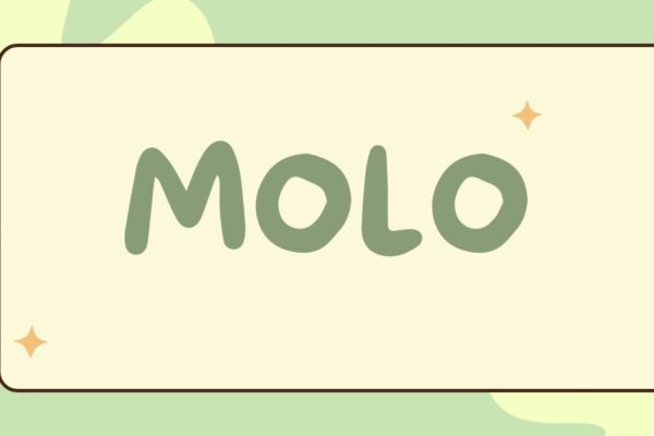molo