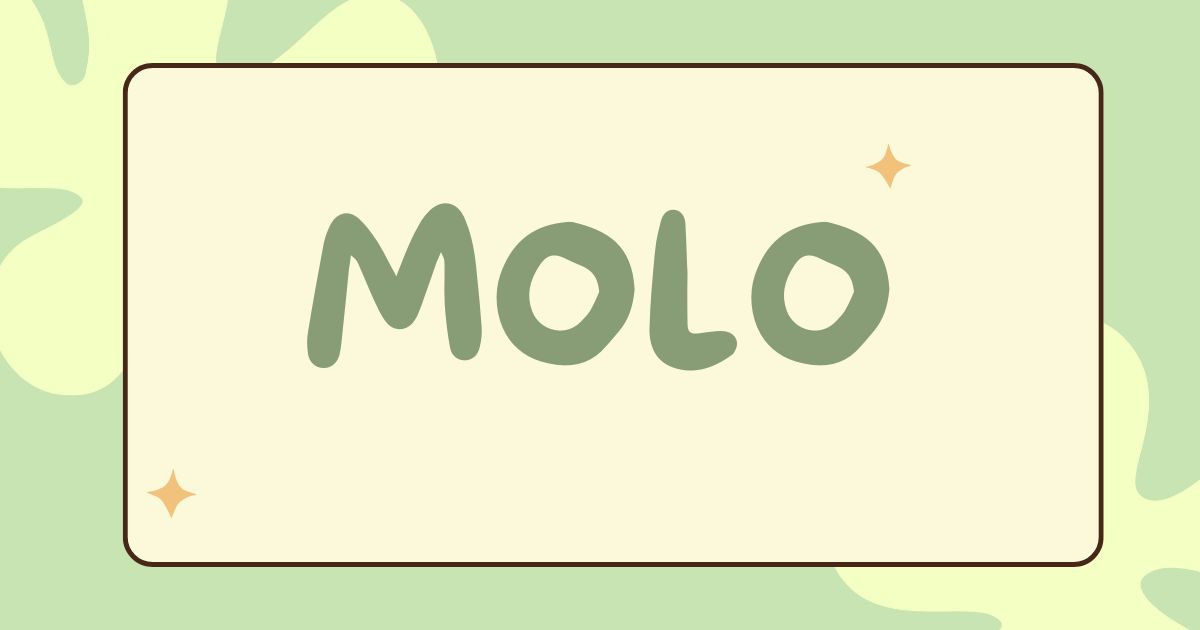 molo