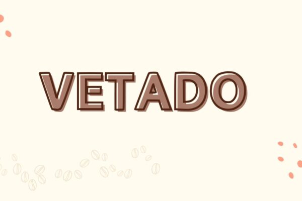 Vetado Meaning and Its Impact in Legal and Social Use vetado