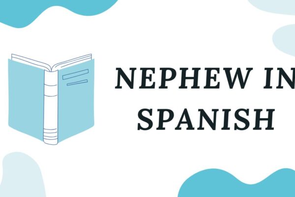 Nephew in Spanish: Meaning, Usage and Cultural Insight nephew in spanish