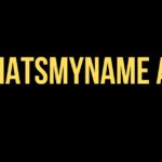 whatsmyname app