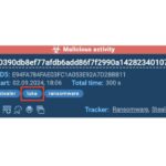 Ransomware Threats