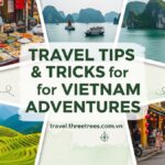 Travel Tips and Tricks for Vietnam Adventures on travel threetrees com vn