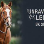 Unraveling the Legacy: The Story of bk horse